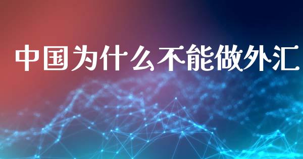 中国为什么不能做外汇_https://wap.jnlaobingbanjia.com_基金分析_第1张