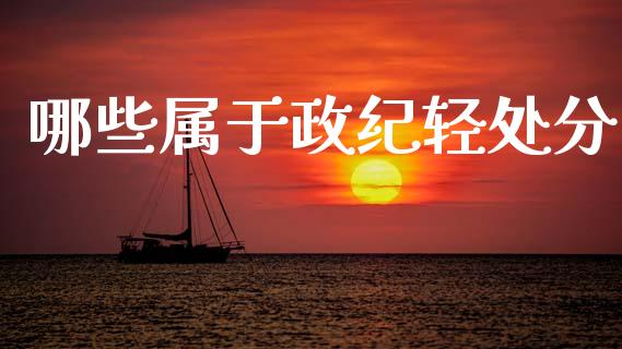 哪些属于政纪轻处分_https://wap.jnlaobingbanjia.com_金融理财_第1张