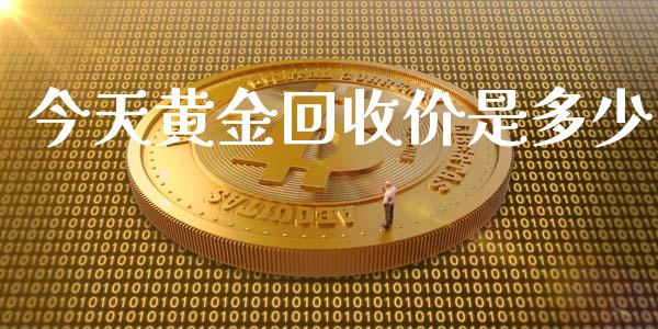 今天黄金回收价是多少_https://wap.jnlaobingbanjia.com_财务管理_第1张