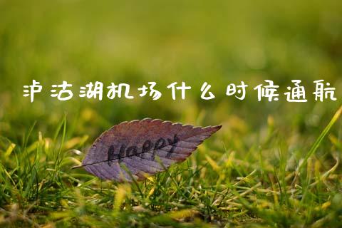 泸沽湖机场什么时候通航_https://wap.jnlaobingbanjia.com_财经资讯_第1张
