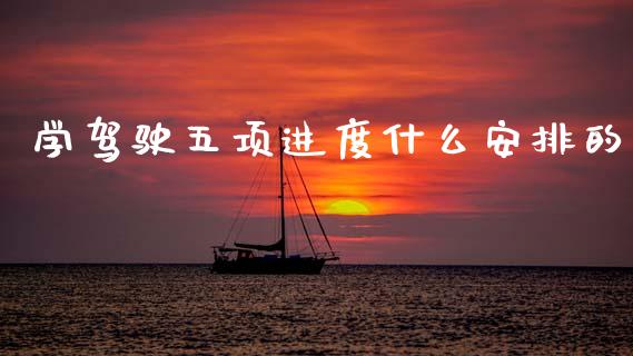 学驾驶五项进度什么安排的_https://wap.jnlaobingbanjia.com_财务管理_第1张