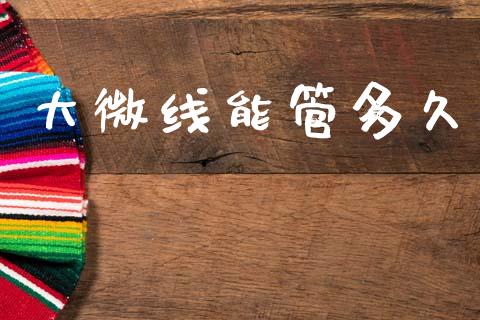 大微线能管多久_https://wap.jnlaobingbanjia.com_证券公告_第1张