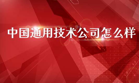 中国通用技术公司怎么样_https://wap.jnlaobingbanjia.com_证券公告_第1张