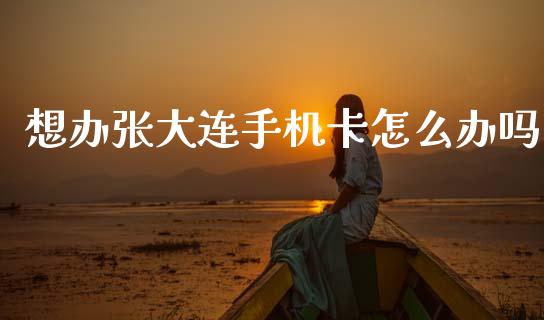 想办张大连手机卡怎么办吗_https://wap.jnlaobingbanjia.com_证券公告_第1张