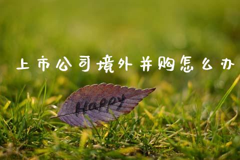上市公司境外并购怎么办_https://wap.jnlaobingbanjia.com_财务管理_第1张