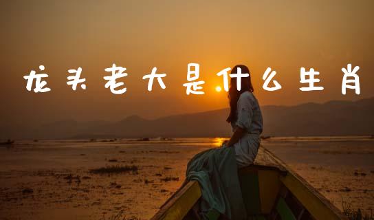 龙头老大是什么生肖_https://wap.jnlaobingbanjia.com_财经资讯_第1张