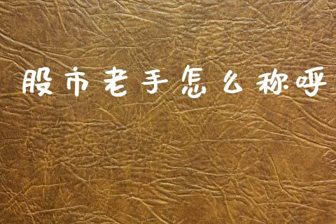股市老手怎么称呼_https://wap.jnlaobingbanjia.com_金融理财_第1张