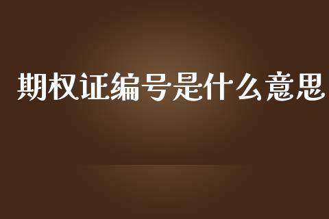 期权证编号是什么意思_https://wap.jnlaobingbanjia.com_财务管理_第1张