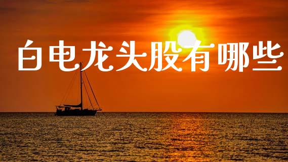 白电龙头股有哪些_https://wap.jnlaobingbanjia.com_股市行情_第1张