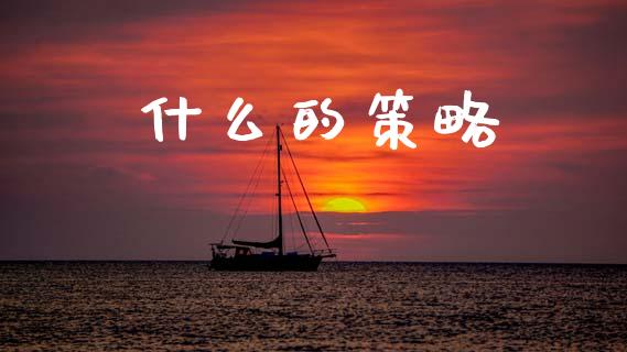 什么的策略_https://wap.jnlaobingbanjia.com_基金分析_第1张