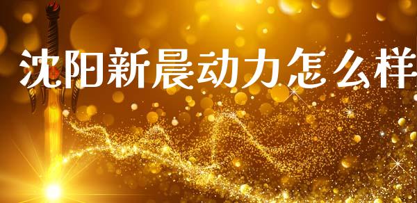 沈阳新晨动力怎么样_https://wap.jnlaobingbanjia.com_证券公告_第1张