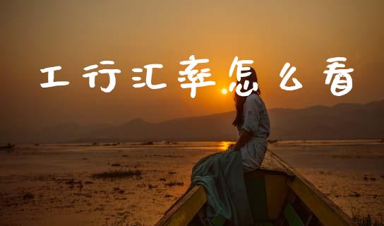 工行汇率怎么看_https://wap.jnlaobingbanjia.com_股市行情_第1张
