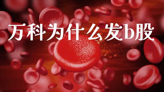 万科为什么发b股_https://wap.jnlaobingbanjia.com_证券公告_第1张