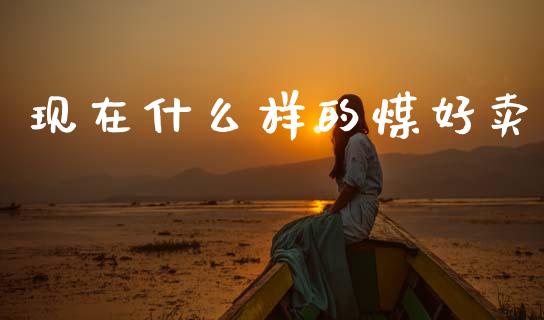 现在什么样的煤好卖_https://wap.jnlaobingbanjia.com_股市行情_第1张