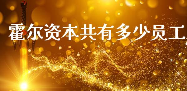 霍尔资本共有多少员工_https://wap.jnlaobingbanjia.com_股市行情_第1张