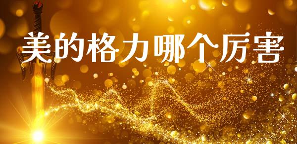 美的格力哪个厉害_https://wap.jnlaobingbanjia.com_财经资讯_第1张