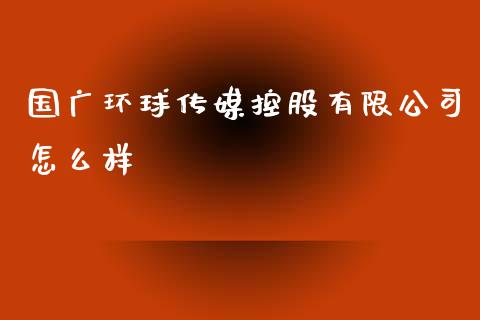 国广环球传媒控股有限公司怎么样_https://wap.jnlaobingbanjia.com_财务管理_第1张