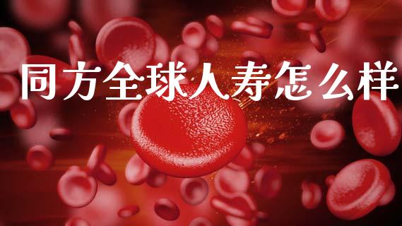 同方全球人寿怎么样_https://wap.jnlaobingbanjia.com_财经资讯_第1张