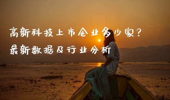 高新科技上市企业多少家？最新数据及行业分析_https://wap.jnlaobingbanjia.com_财务管理_第1张