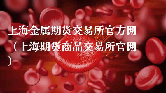 上海金属期货交易所官方网（上海期货商品交易所官网）_https://wap.jnlaobingbanjia.com_财务管理_第1张