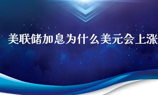 美联储加息为什么美元会上涨_https://wap.jnlaobingbanjia.com_基金分析_第1张