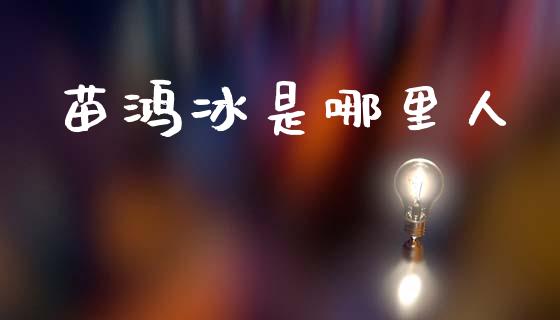 苗鸿冰是哪里人_https://wap.jnlaobingbanjia.com_财经资讯_第1张