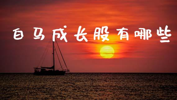 白马成长股有哪些_https://wap.jnlaobingbanjia.com_股市行情_第1张