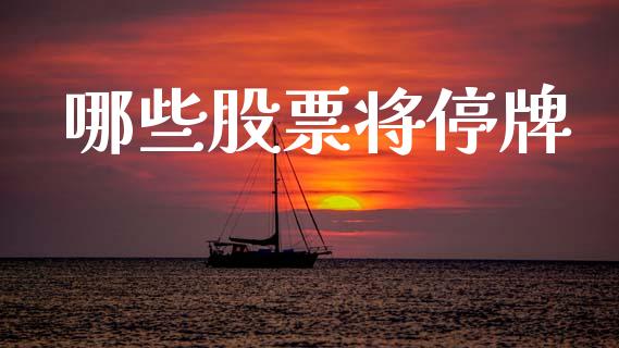 哪些股票将停牌_https://wap.jnlaobingbanjia.com_证券公告_第1张