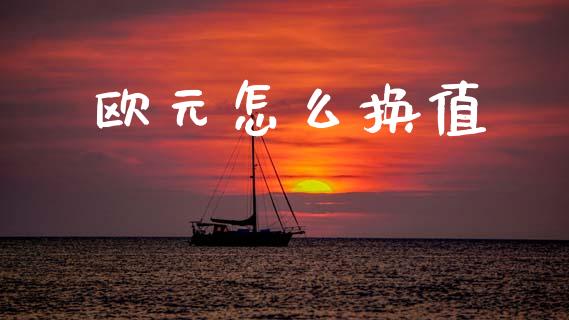 欧元怎么换值_https://wap.jnlaobingbanjia.com_证券公告_第1张