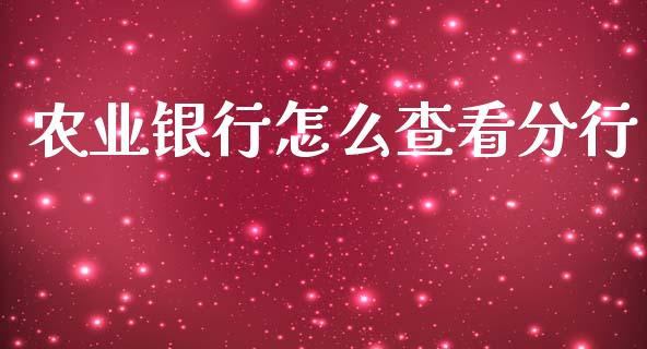 农业银行怎么查看分行_https://wap.jnlaobingbanjia.com_股市行情_第1张