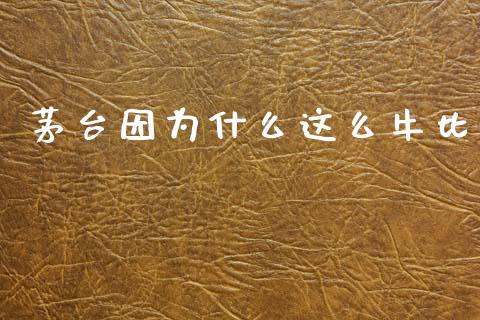 茅台因为什么这么牛比_基金分析_第1张_财经资讯_股市行情_财务管理_金融理财 茅台因为什么这么牛比_https://wap.jnlaobingbanjia.com_基金分析_第1张