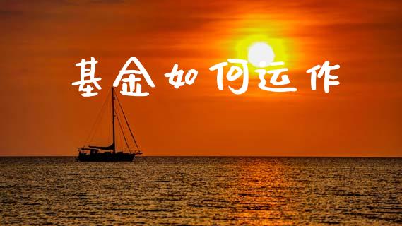 基金如何运作_https://wap.jnlaobingbanjia.com_基金分析_第1张