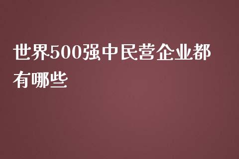 世界500强中民营企业都有哪些_https://wap.jnlaobingbanjia.com_金融理财_第1张
