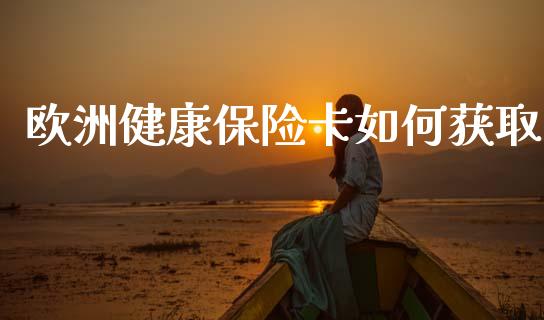 欧洲健康保险卡如何获取_https://wap.jnlaobingbanjia.com_证券公告_第1张