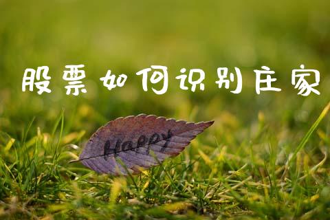股票如何识别庄家_https://wap.jnlaobingbanjia.com_基金分析_第1张