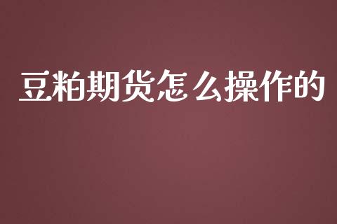 豆粕期货怎么操作的_https://wap.jnlaobingbanjia.com_基金分析_第1张