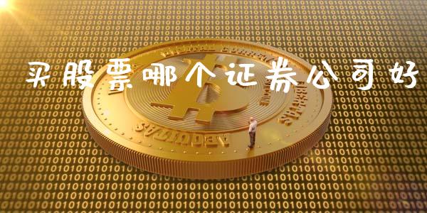 买股票哪个证券公司好_https://wap.jnlaobingbanjia.com_财务管理_第1张