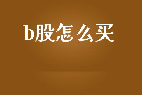 b股怎么买_https://wap.jnlaobingbanjia.com_财务管理_第1张
