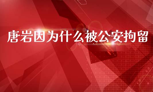唐岩因为什么被公安拘留_https://wap.jnlaobingbanjia.com_财务管理_第1张