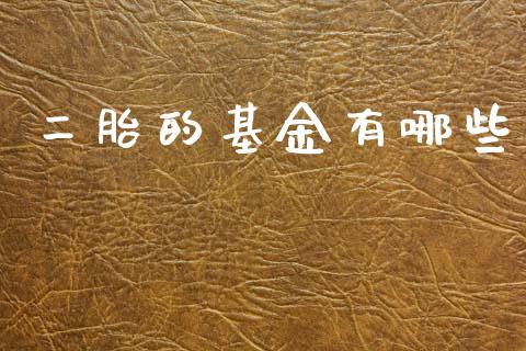 二胎的基金有哪些_https://wap.jnlaobingbanjia.com_股市行情_第1张