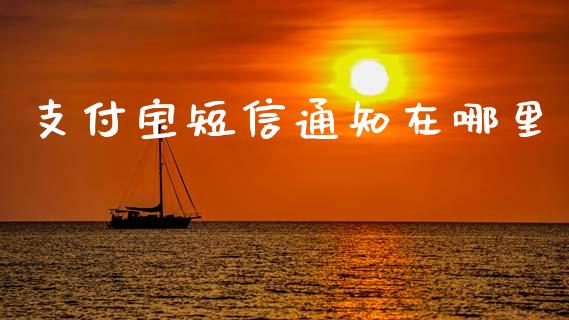 支付宝短信通知在哪里_https://wap.jnlaobingbanjia.com_金融理财_第1张