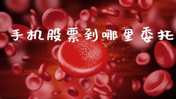 手机股票到哪里委托_https://wap.jnlaobingbanjia.com_股市行情_第1张
