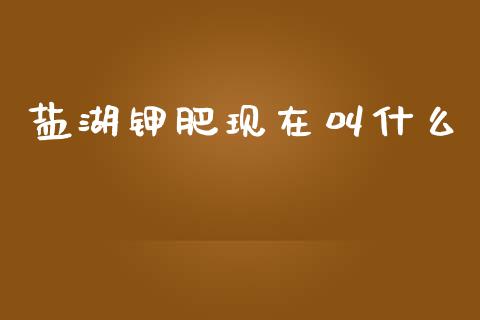 盐湖钾肥现在叫什么_https://wap.jnlaobingbanjia.com_财经资讯_第1张