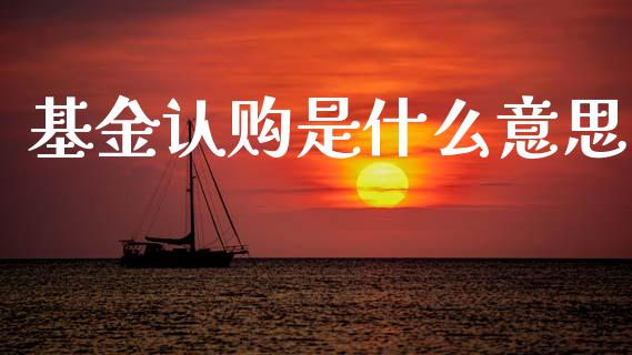 基金认购是什么意思_https://wap.jnlaobingbanjia.com_金融理财_第1张