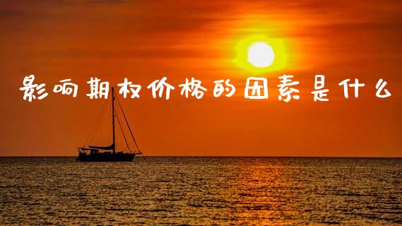 影响期权价格的因素是什么_https://wap.jnlaobingbanjia.com_财务管理_第1张