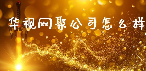 华视网聚公司怎么样_https://wap.jnlaobingbanjia.com_证券公告_第1张