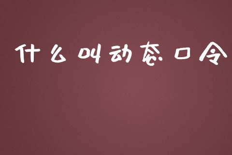 什么叫动态口令_https://wap.jnlaobingbanjia.com_证券公告_第1张