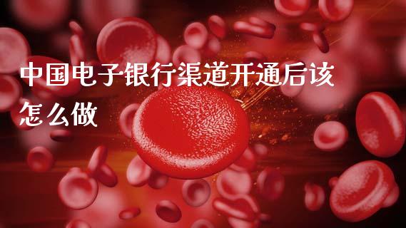 中国电子银行渠道开通后该怎么做_https://wap.jnlaobingbanjia.com_证券公告_第1张