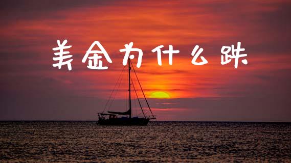 美金为什么跌_https://wap.jnlaobingbanjia.com_证券公告_第1张