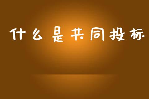 什么是共同投标_https://wap.jnlaobingbanjia.com_财务管理_第1张